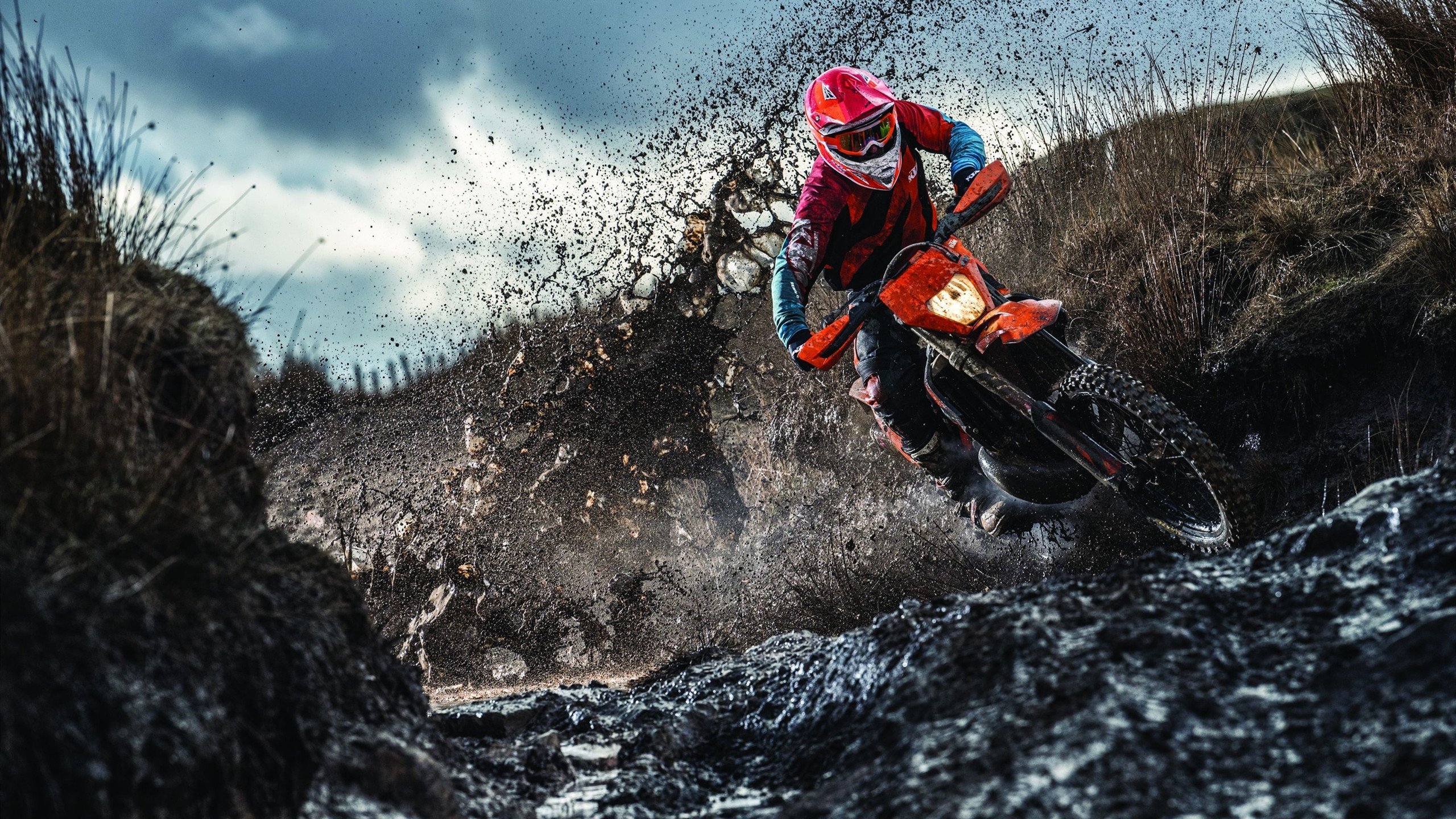 德国队自由泳表现小幅提升,德国游泳水平如何